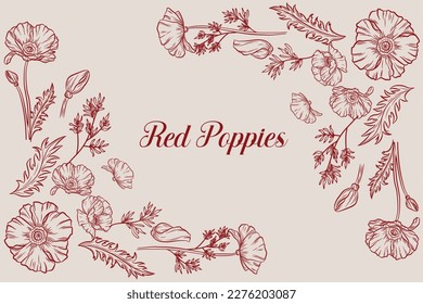 Set of Beautiful Poppy Flower Line Art Illustration