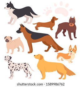 Set of beautiful purebred dogs. Collection of dogs of various breed. Cute funny domestic pet. Group of animal. Isolated vector illustration in cartoon style