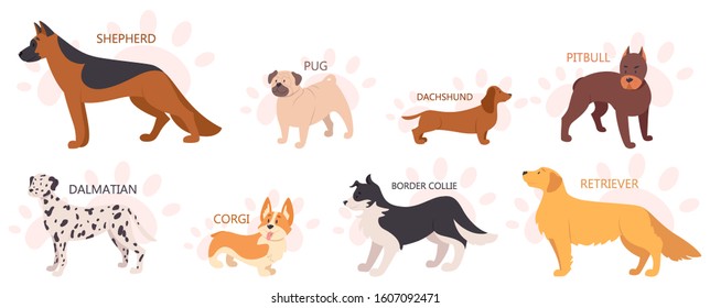 Set of beautiful purebred dogs. Collection of dogs of various breed. Cute funny domestic pet. Group of animal. Isolated vector illustration in cartoon style