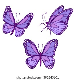 Set of beautiful purple butterflies on a white background.