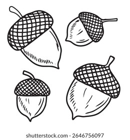 Conjunto de belas bolotas realistas com bonés em preto isolado no fundo branco. ilustração de esboço de vetor desenhado à mão em doodle gravado vintage estilo de arte de linha. Vísceras de outono, floresta, carvalho, coloração