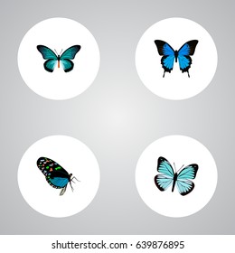 Set Of Beautiful Realistic Symbols Also Includes Bluewing, Butterfly, Blue Objects.