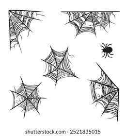 Set of beautiful realistic web net with spider in black isolated on white background. Hand drawn vector sketch illustration in doodle engraved line art vintage style. Happy Halloween, horror, icon