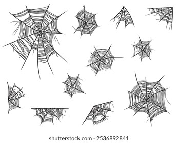 Set of beautiful realistic web net with spider in black isolated on white background. Hand drawn vector sketch illustration in doodle engraved line art vintage style. Happy Halloween, horror, icon