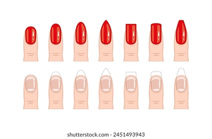Das Set von wunderschönen roten Nägeln zeigt verschiedene Formen und Arten von Nagelverlängerungen.