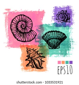 set of beautiful retro sea shells on watercolor background - hand drawn, vintage style vector illustration.