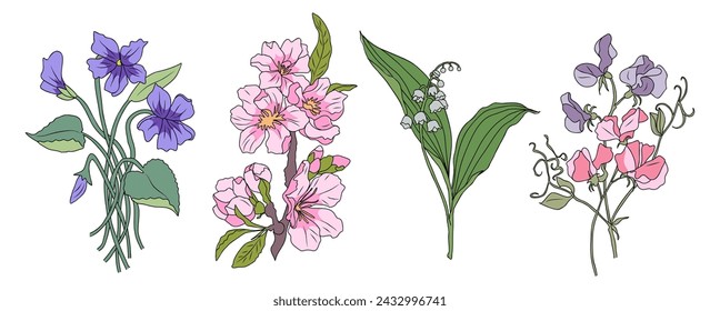 Set of Beautiful romantic spring flowers isolated.