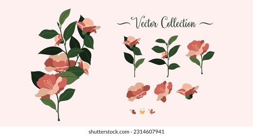 Set of beautiful roses and butterflies in vector. Flat style.