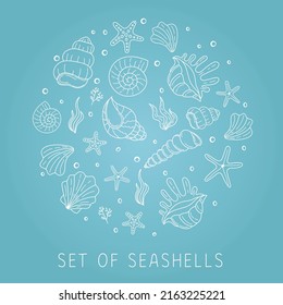 Set of beautiful seashells and sea star arranged in circle. Hand drawn sketch. Vector marine illustration.