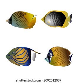 set of beautiful seawater ornamental fish, vector illustration