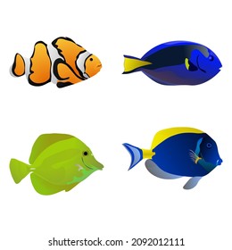 set of beautiful seawater ornamental fish, vector illustration