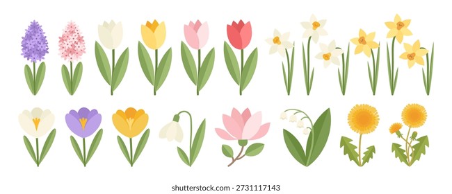 Conjunto de belas flores de primavera em estilo geométrico plano. Tulipas, narcisos, crocuses, jacinto, magnólia, gotas de neve, lírio do vale, dente-de-leão. Ilustração de Vetor Botânico.