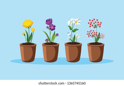 set of beautiful spring flowers in pot