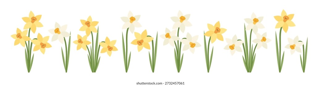 Set of beautiful spring flowers. White and yellow daffodils. Perfect for poster, card, print, spring holiday, Easter, Mother's day. Vector flat illustration.