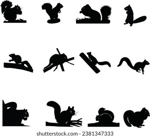 set of  beautiful squirrel silhouette design