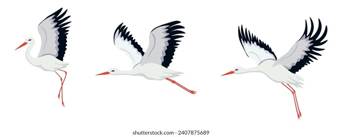 Conjunto de hermosos pájaros cigüeñas al estilo de las caricaturas. Ilustración vectorial de aves migratorias de cigüeñas blancas con pico y piernas rojas, plumas negras aisladas sobre fondo blanco.