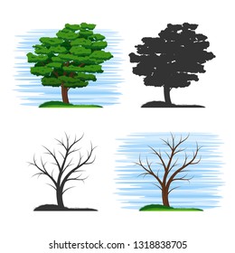 Set of beautiful stylized trees. Tree with foliage. Bare tree trunk. Silhouettes of trees. Blue sky. Green grass.
