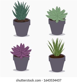 Set of beautiful succulent Illustration plants in garden pottery 