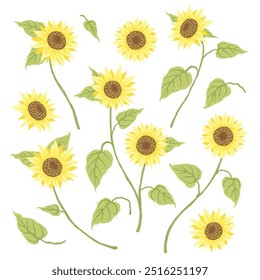 Set of beautiful sunflower decorative illustration art clipart in romantic hand drawing pencil line style