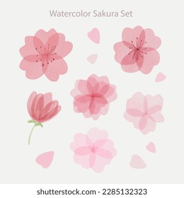 Conjunto de hermosas acuarelas de color sakura con pétalos, elementos aislados de decoración de flores de cerezo dibujados a mano, colección de flores rosadas. Ilustración del vector EPS 10