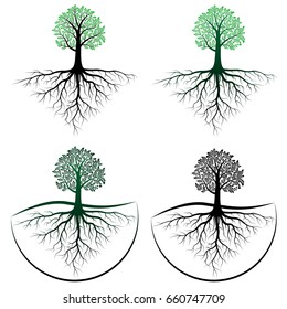 set of beautiful tree with root vector on white background, vector illustration