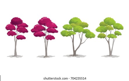 Set of Beautiful Trees on White Background, Vector Illustration