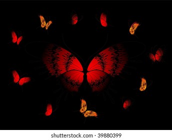 set of beautiful tropical butterflies on a black background for a design