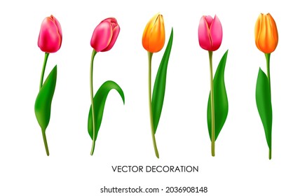 初夏の花 のイラスト素材 画像 ベクター画像 Shutterstock