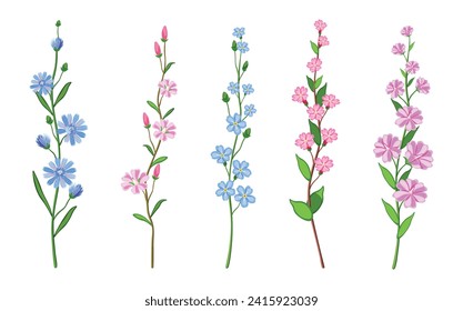 Set of beautiful twigs with small flowers in cartoon style. Vector illustration of different colored wildflowers with blue, pink, purple flowers and green leaves isolated on white background.