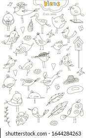 Set of beautiful vector birds in children’s flat style.