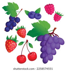 Set of beautiful vector cartoon berries: strawberries, blueberries, grapes, raspberries, black currants, cherries. Isolated on a white background.