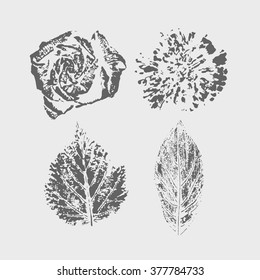 Set of beautiful vector design elements. Collection of floral imprints. Stamps of flowers and leaves.