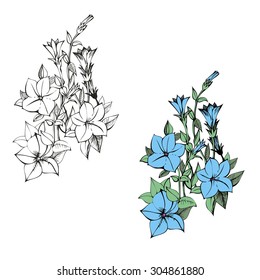 set of beautiful vector of flowers design