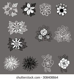 set of beautiful vector of flowers design
