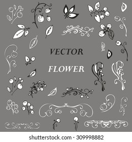 set of beautiful vector of flowers design