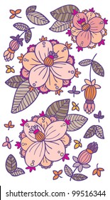 set of beautiful vector flowers isolated on white