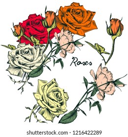 Set of beautiful vector hand drawn rose flowers in retro style