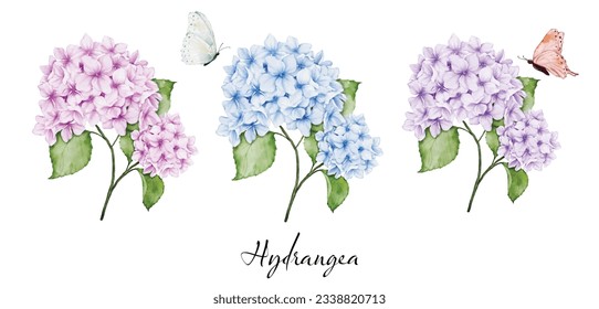 Set of beautiful watercolor floral bouquets with hydrangea flowers, branches leaves, and butterflies, watercolor painting. Vector isolated on white background.