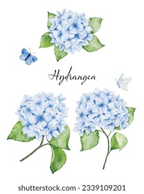 Set of beautiful watercolor floral bouquets with blue hydrangea flowers, branches leaves, and butterflies, watercolor painting. Vector isolated on white background.