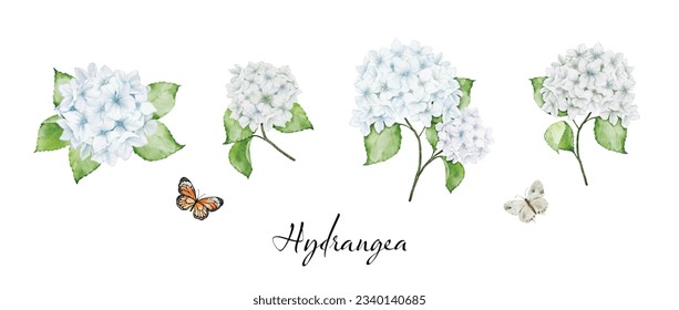 Set of beautiful watercolor floral bouquets with white hydrangea flowers, branches leaves, and butterflies, watercolor painting. Vector isolated on white background.