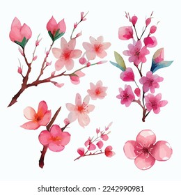 Set of Beautiful Watercolor Flowers pink cherry blossom collection