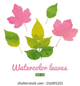 Set of beautiful watercolor leaves. EPS 10. No gradients. No transparency.