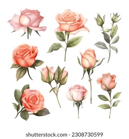 Set of beautiful watercolor roses