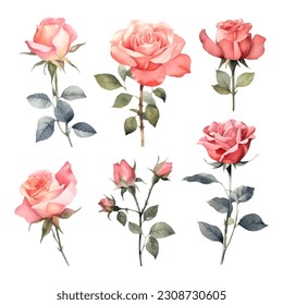 Set of beautiful watercolor roses