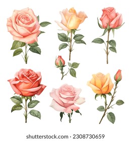 Set of beautiful watercolor roses