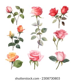 Set of beautiful watercolor roses