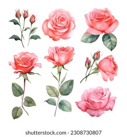 Set of beautiful watercolor roses