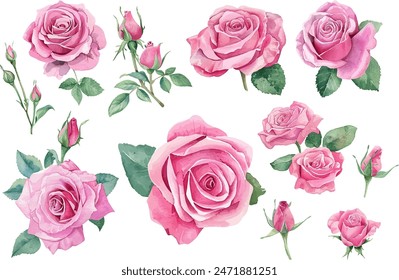 Set of beautiful watercolor roses