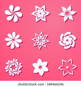 Set of beautiful white flowers on pink background