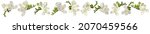 Set of beautiful white freesia flower. Lots of flowers. Printing for textiles. Spring white flowers. Summer delicate flowers